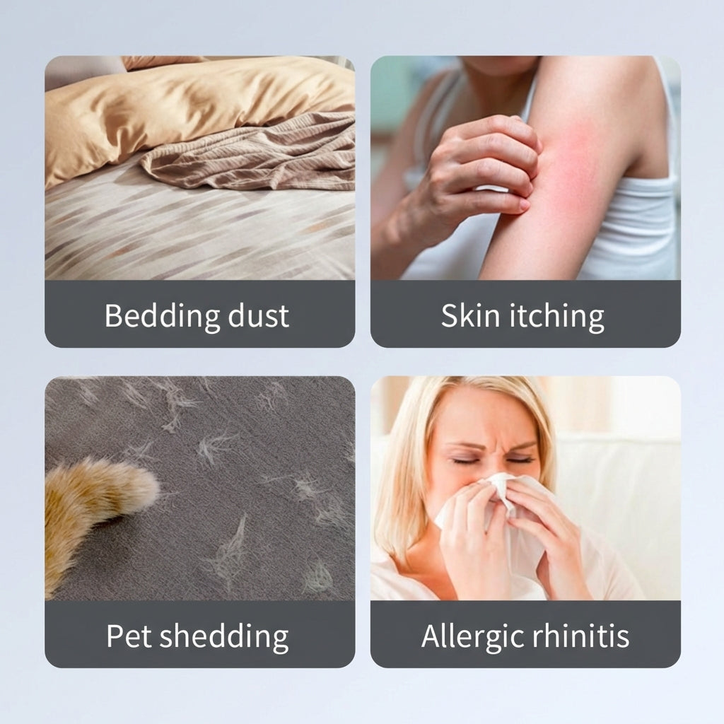 How to Get Rid of Dust Mites and Protect Your Family’s Health